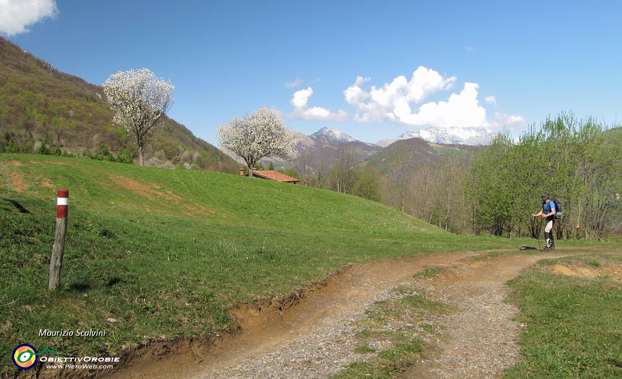 12 Percorso ottimamente bollato....JPG